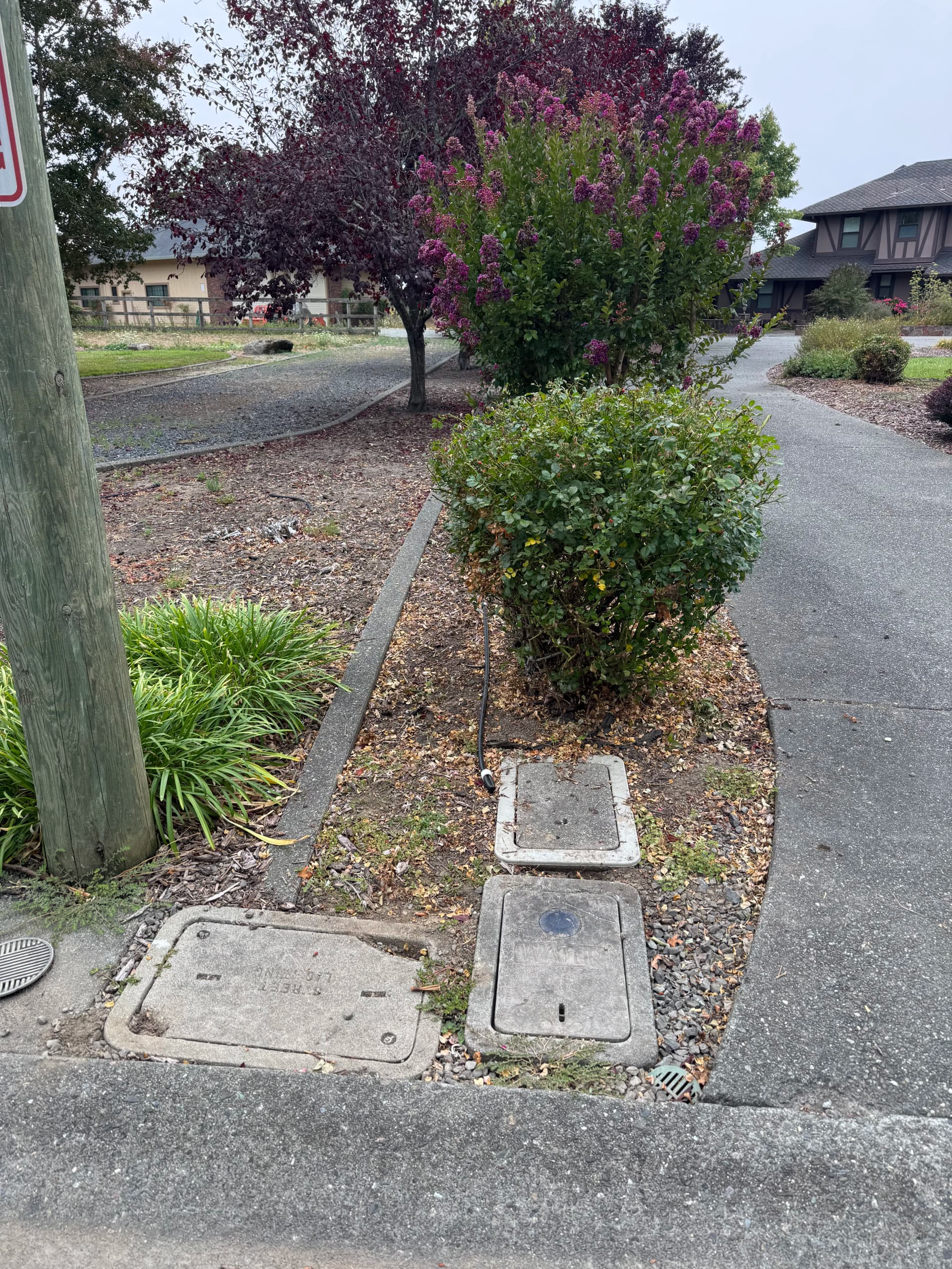 Backflow Assembly Upgrade and Relocation in Santa Rosa image