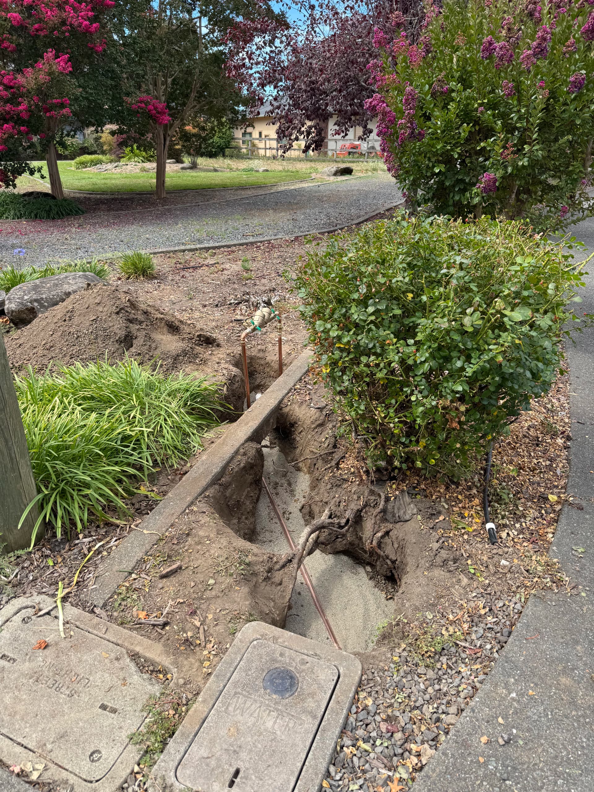 Gallery photos for Backflow Assembly Upgrade and Relocation in Santa Rosa: Image #1