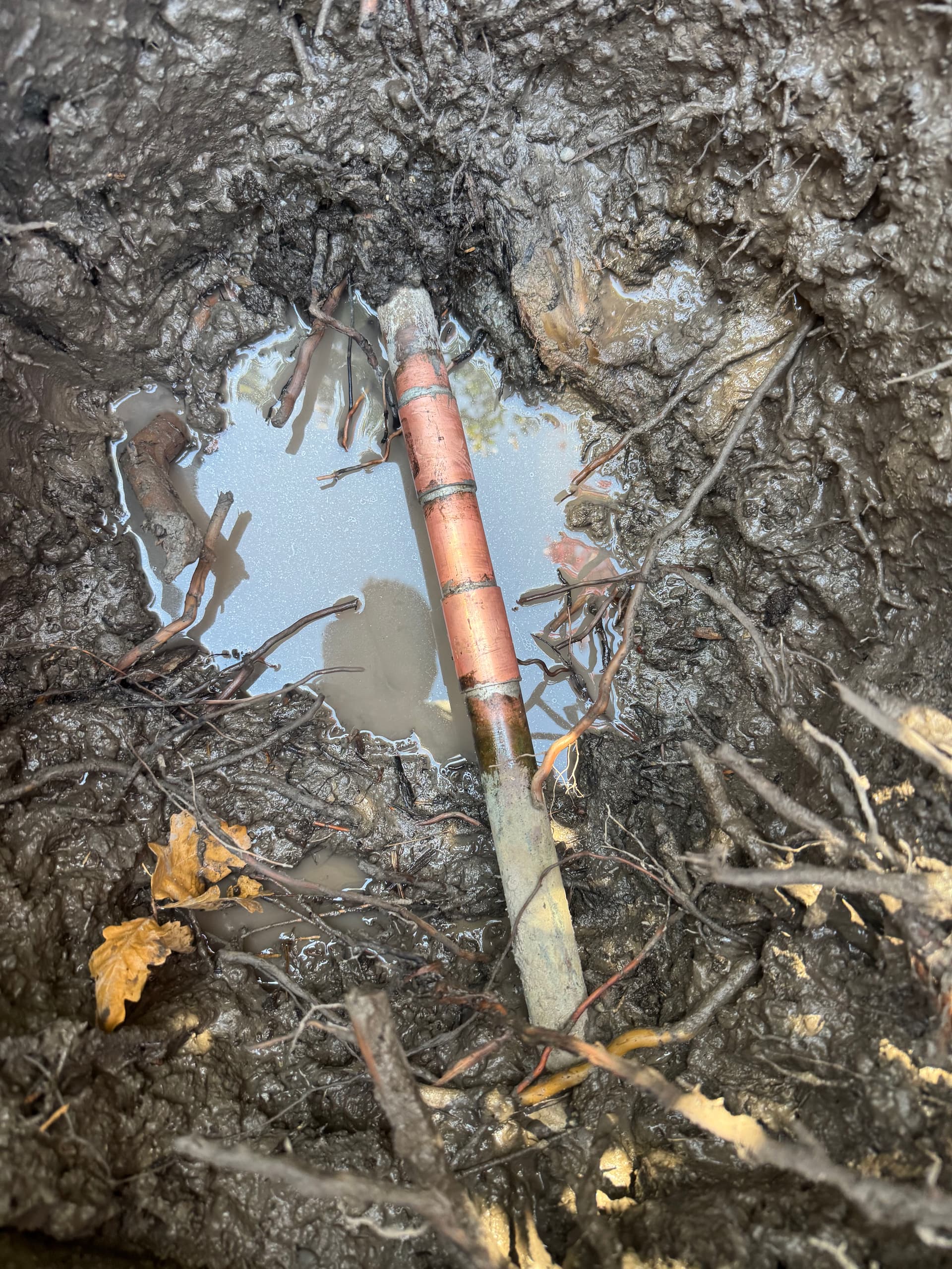 Gallery photos for Soggy Yard Spot Led to a Main Water Line Repair: Image #1