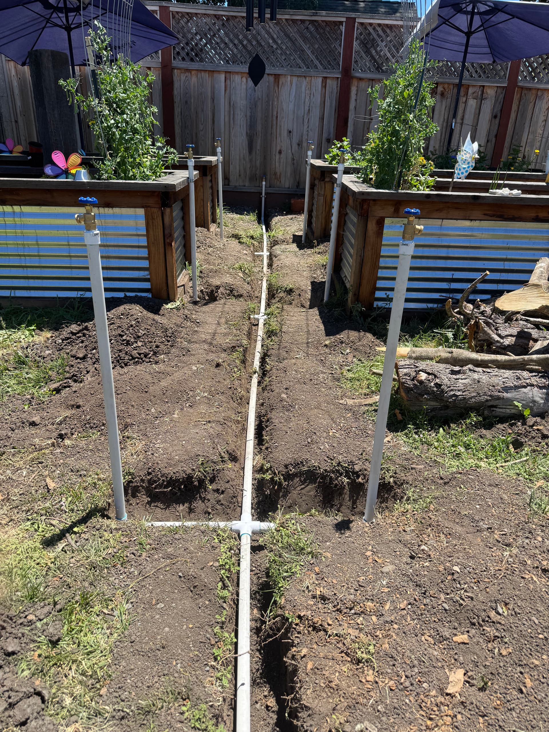 Irrigation Water Lines and Hose Bibs Installed for Raised Garden Beds image