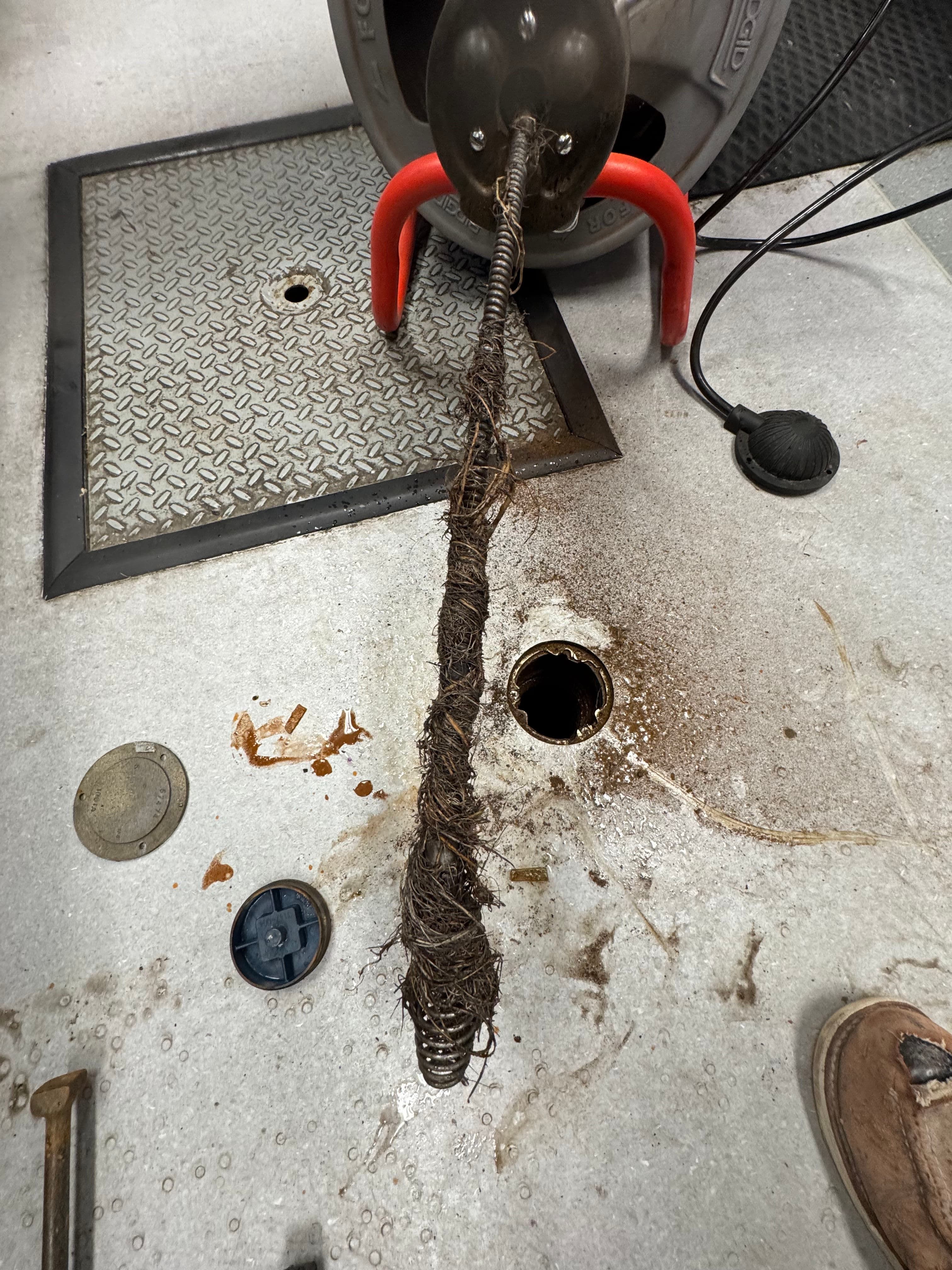 Project Root-Packed Drains Don't Stand a Chance Against Our Snake image