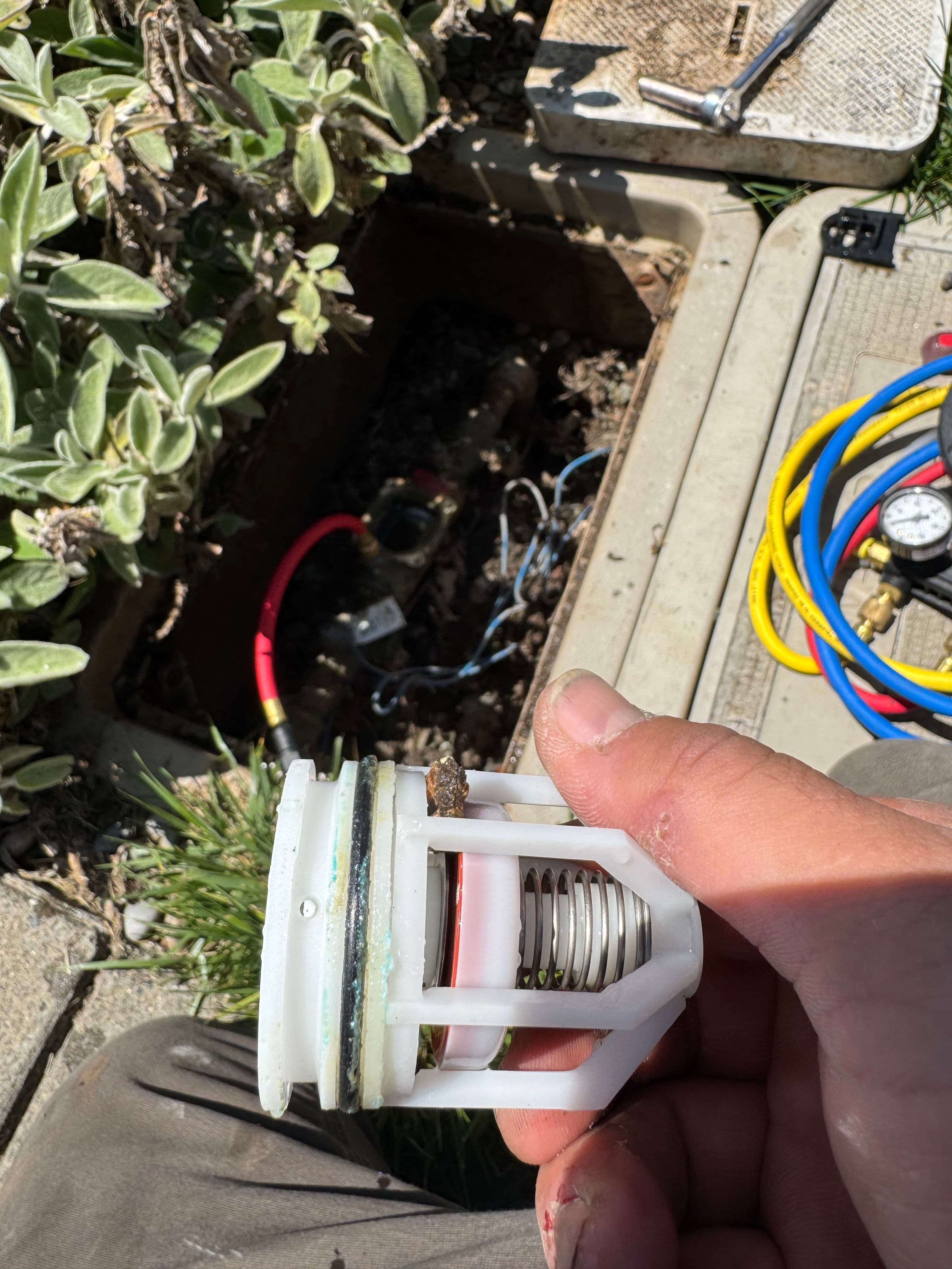 Project What a Dirty Backflow Check Valve Actually Looks Like image