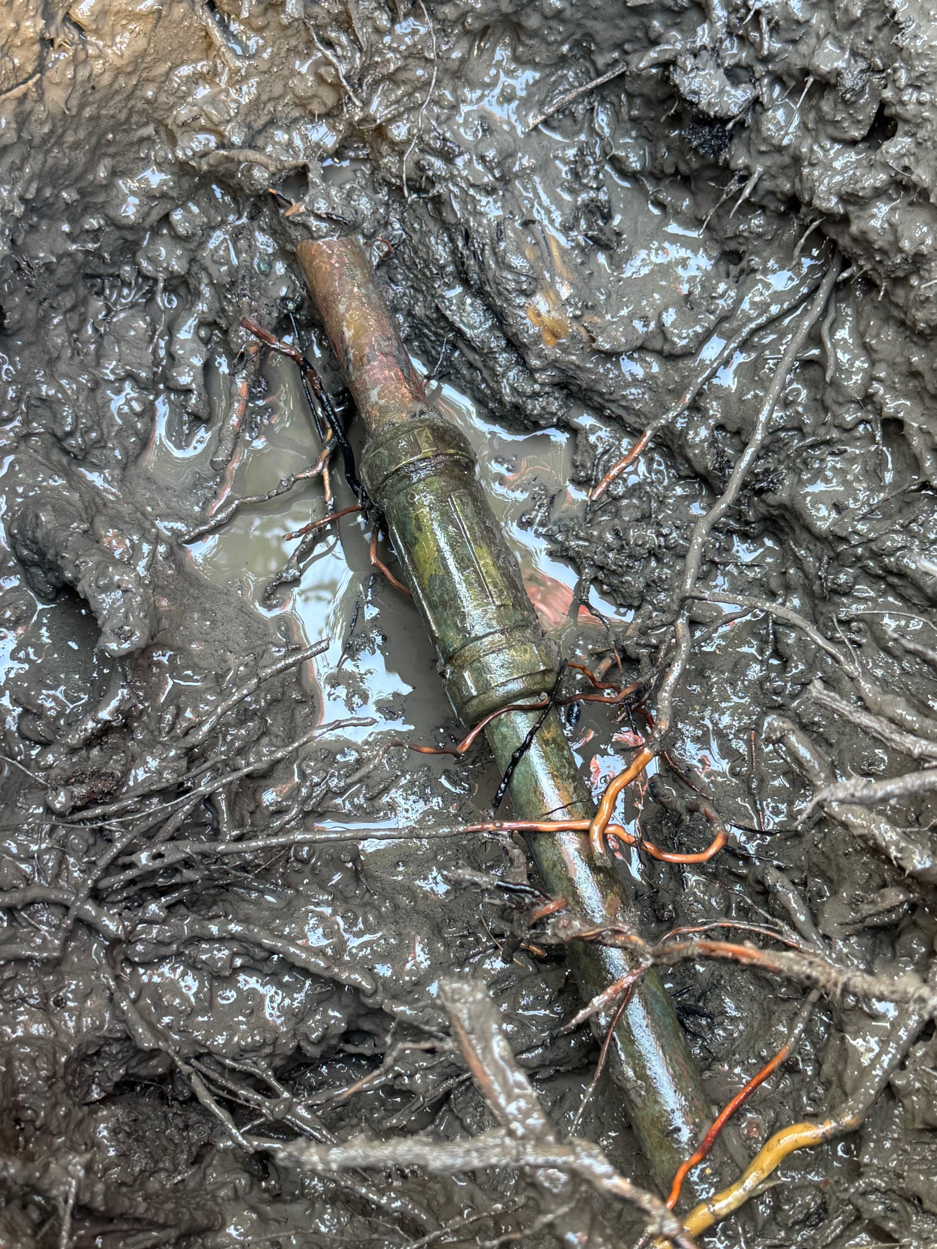 Soggy Yard Spot Led to a Main Water Line Repair image