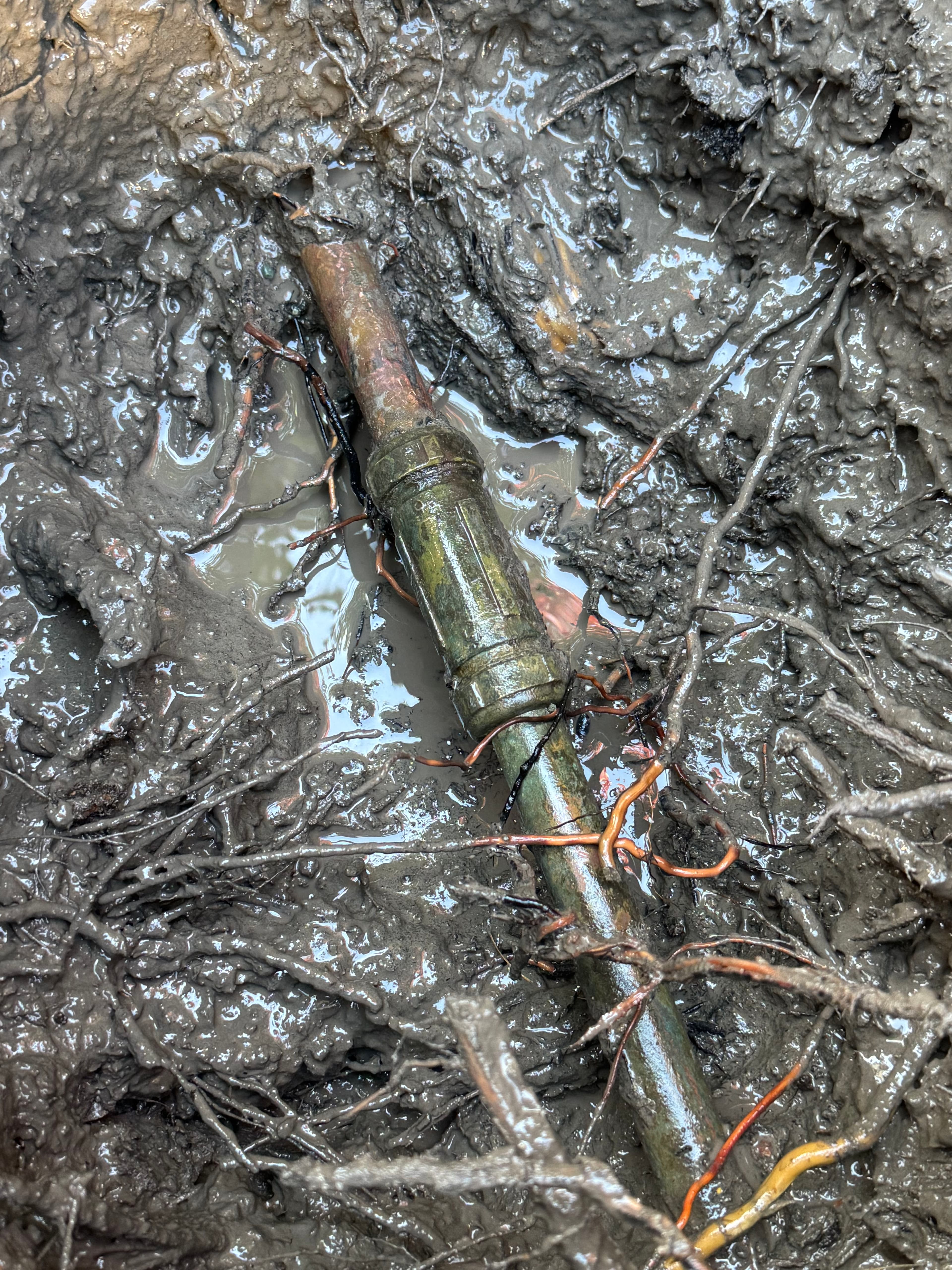 Project Soggy Yard Spot Led to a Main Water Line Repair image