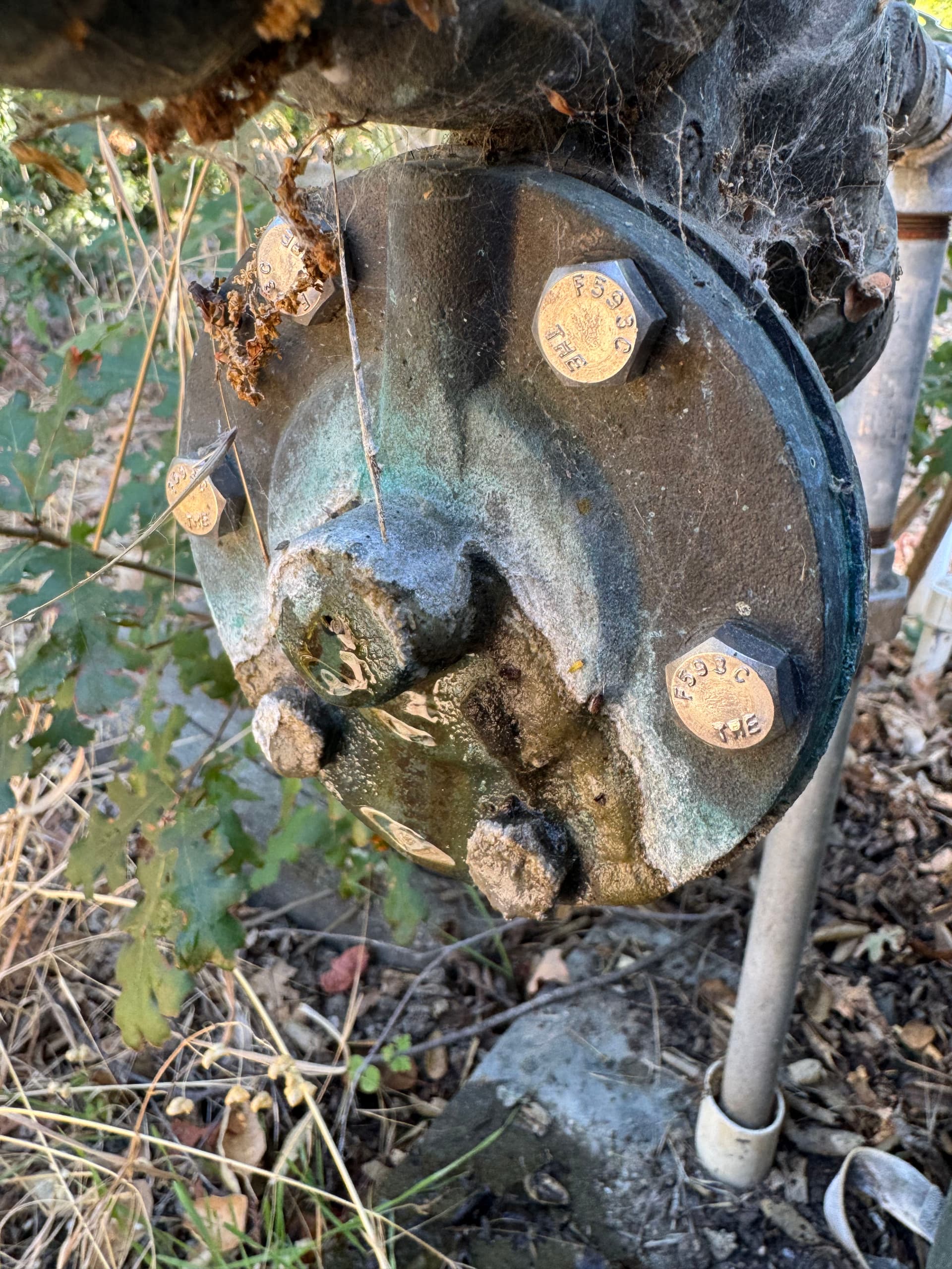 A Leaky Backflow Device Is Never a Small Problem image