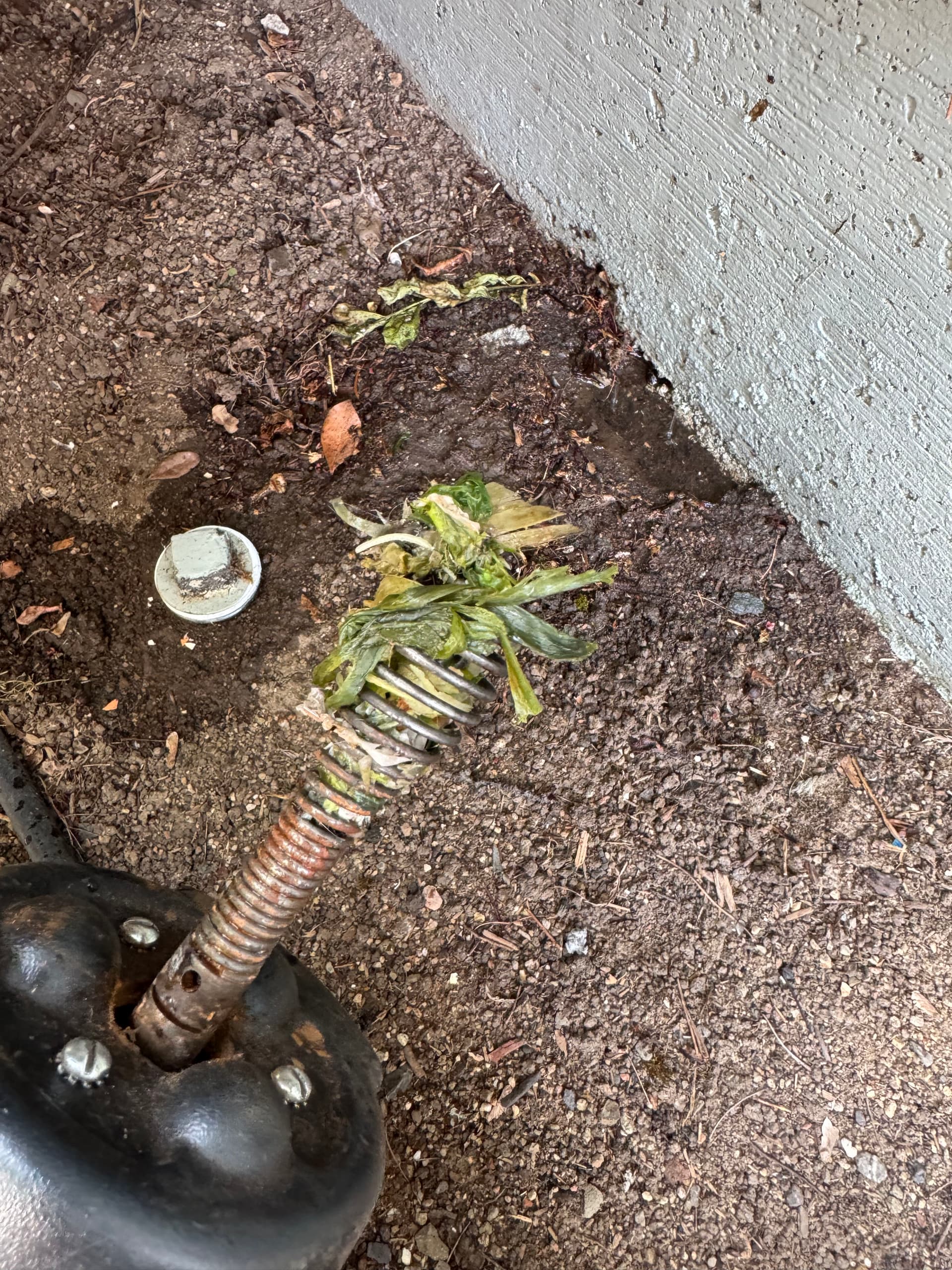 Your Kitchen Sink Is Not a Trash Can image