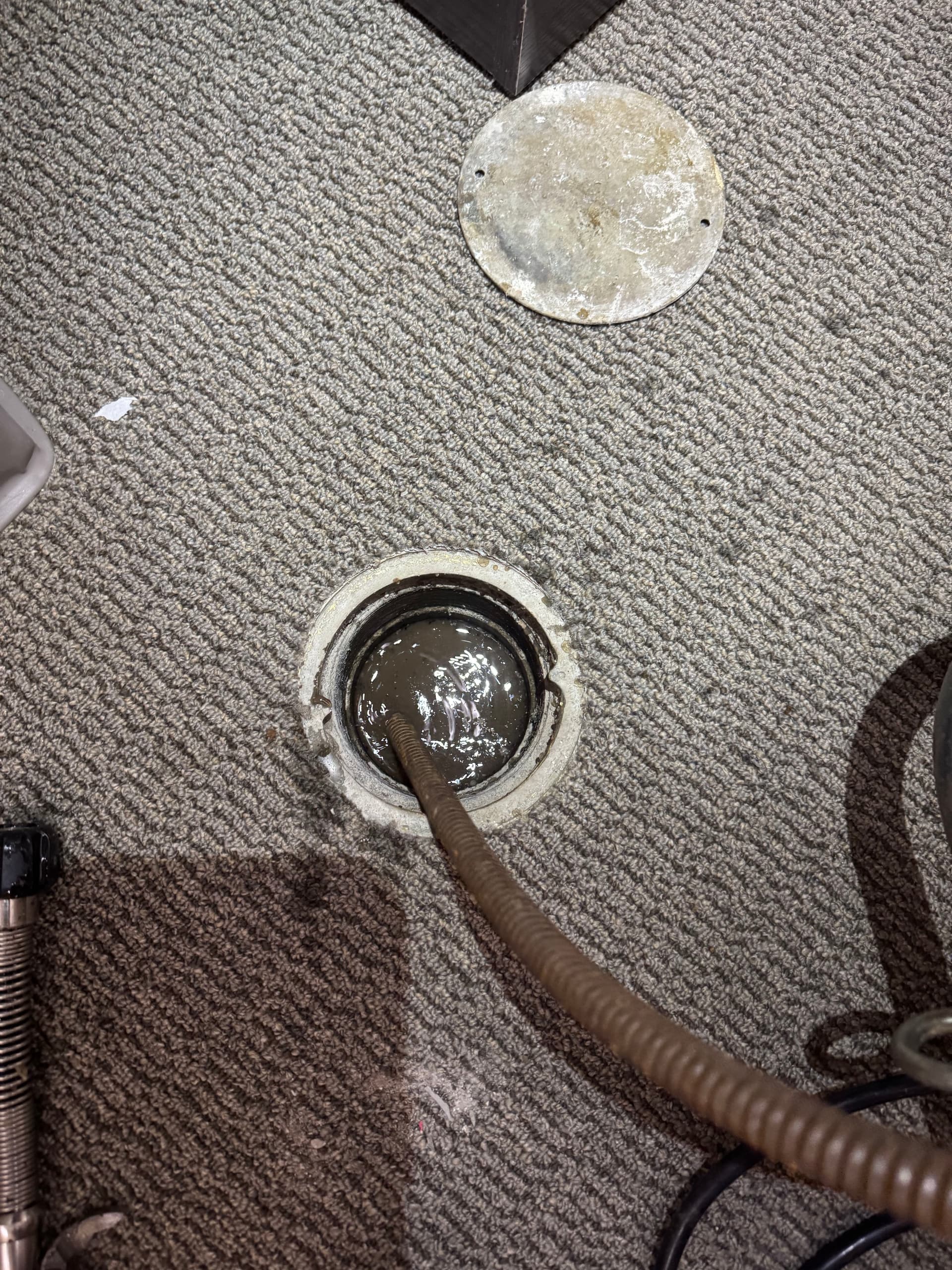 Gallery photos for Root-Packed Drains Don't Stand a Chance Against Our Snake: Image #1